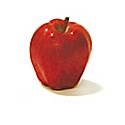 apple