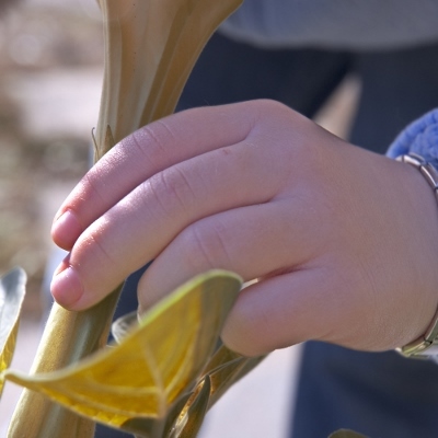 child gardening (400x400)