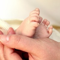 Are All Preemies Special Needs?