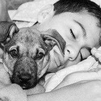 5 Ways Having A Pet Helps A Teen