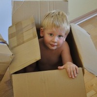 Cardboard Boxes: Who Knew?