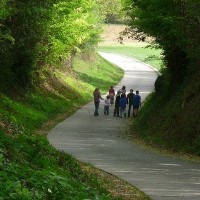 Walking to School – One Neighborhood at a Time