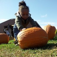 4 Toddler Friendly Halloween Events to Enjoy