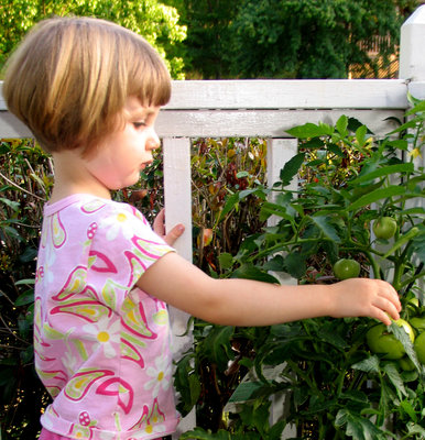 preschool garden