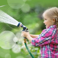 Beat the Heat With Water